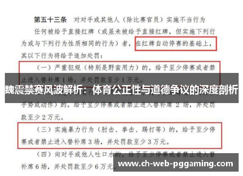 魏震禁赛风波解析：体育公正性与道德争议的深度剖析