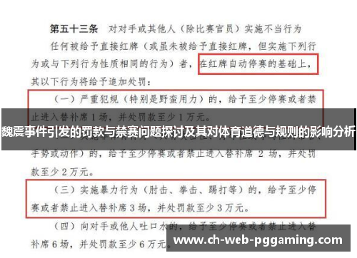 魏震事件引发的罚款与禁赛问题探讨及其对体育道德与规则的影响分析