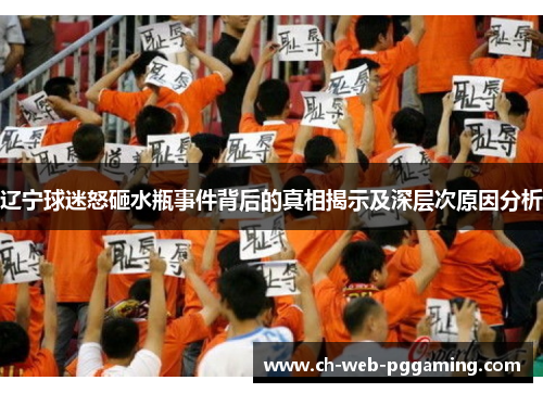 辽宁球迷怒砸水瓶事件背后的真相揭示及深层次原因分析