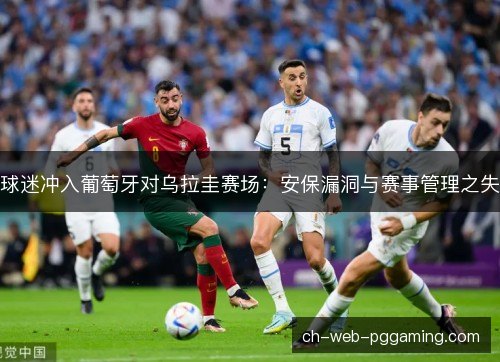 球迷冲入葡萄牙对乌拉圭赛场：安保漏洞与赛事管理之失